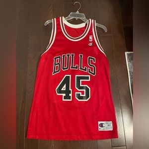 Vintage Jordan Jersey #45